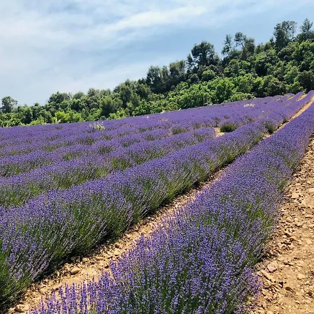 La Bastide De *